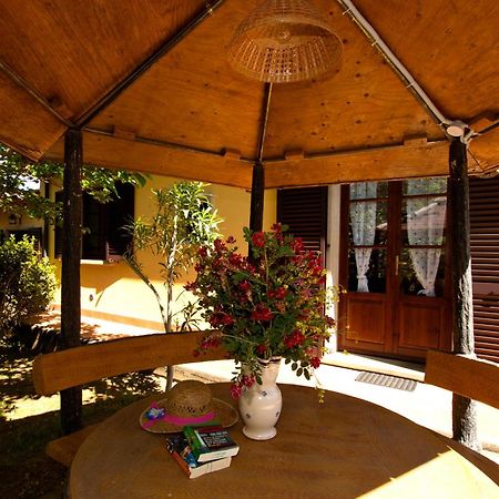 Agriturismo Cerroni Montescudaio Exterior foto