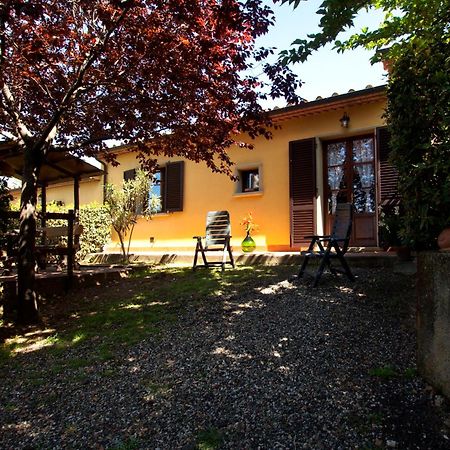 Agriturismo Cerroni Montescudaio Exterior foto