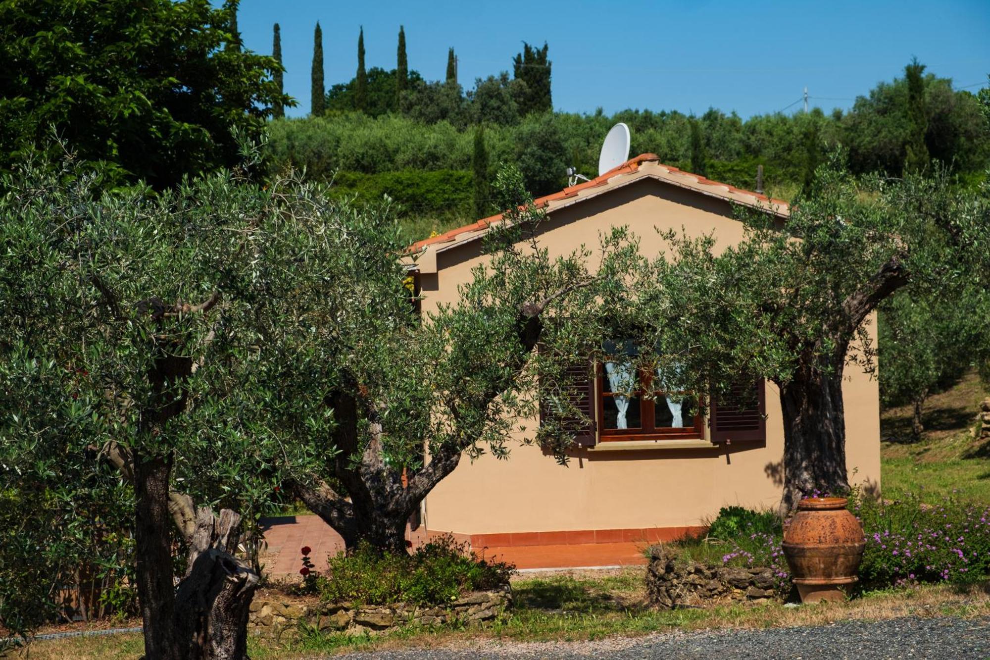 Agriturismo Cerroni Montescudaio Exterior foto