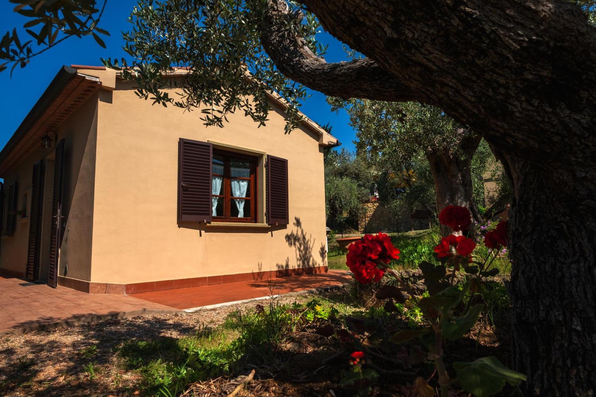 Agriturismo Cerroni Montescudaio Exterior foto