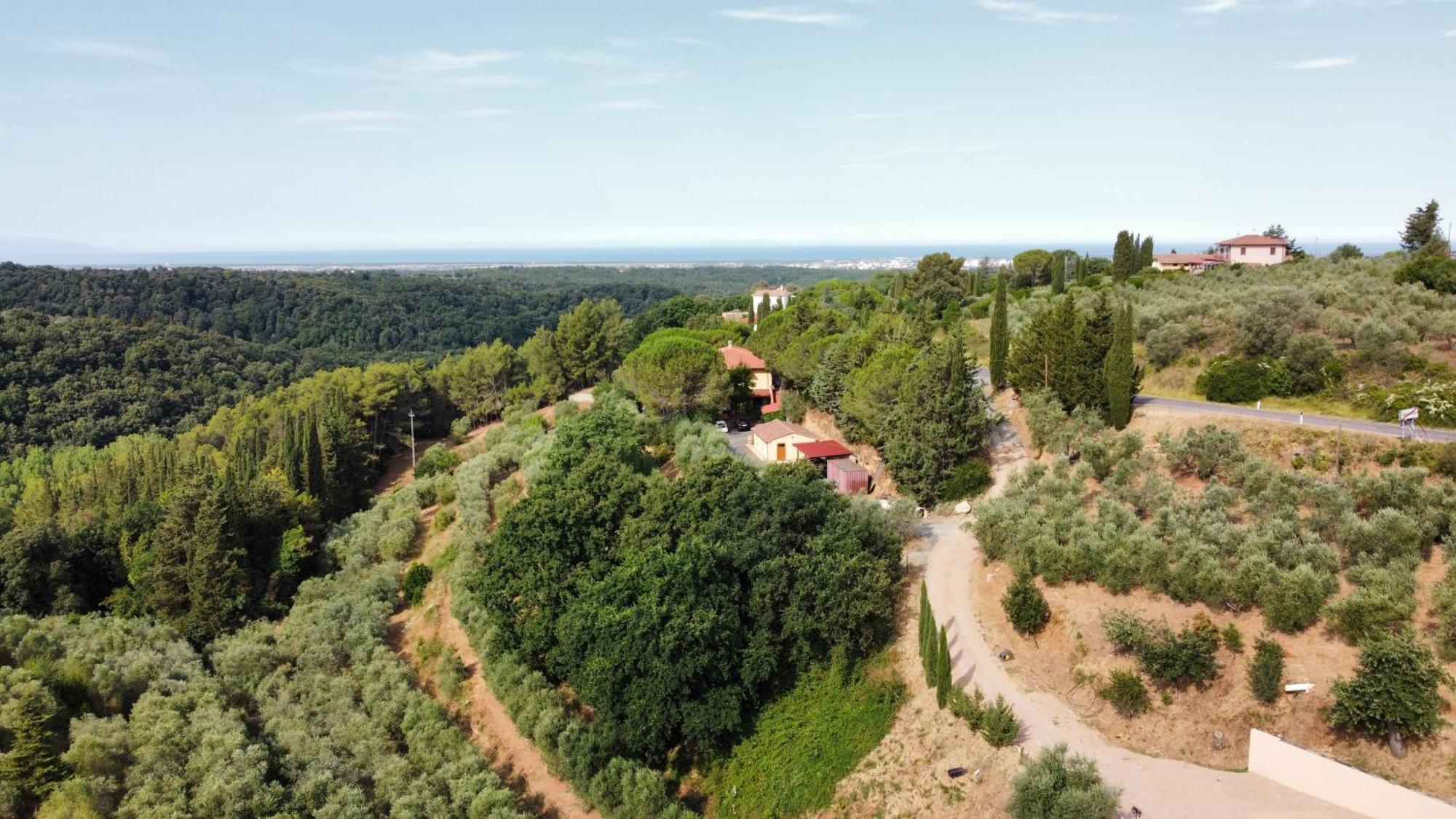 Agriturismo Cerroni Montescudaio Exterior foto